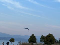 -大理洱海