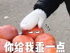 -和记馅饼(太平路店)