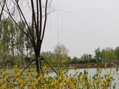 -东郊湿地公园