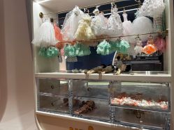 -奈尔宝·儿童乐园·亲子餐厅(鄞州万达店)