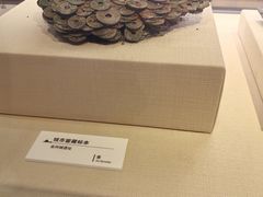 -大连金州博物馆