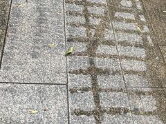 -望湖公园