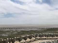 -南汇嘴观海公园