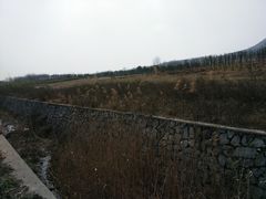 -南京市江宁方山