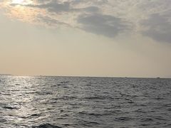 -小猫钓鱼海钓俱乐部(椰梦长廊店)