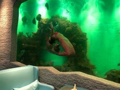 -瑞德姆美人鱼海底演艺主题餐厅(亚龙湾店)