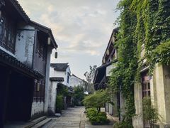 -巡塘古镇