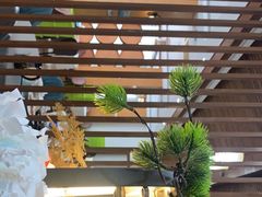 -阿露佳·舌尖上的安吉菜