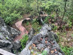 -千岛湖石林