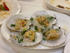扇贝-新享乐海鲜(翠华路店)