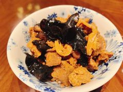 -泰康之家·申园