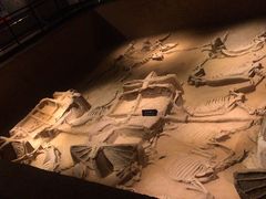 -洛阳周王城天子驾六博物馆