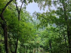 -都江堰景区