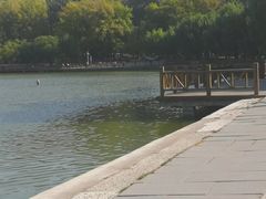 -二一九公园