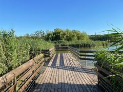 -马家湾湿地公园
