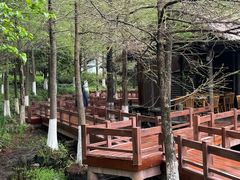 -八卦田遗址公园