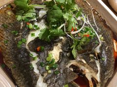多宝鱼&nbsp;49-盒马鲜生(悦峰店)