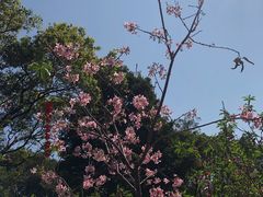 -广州市白云山风景名胜区