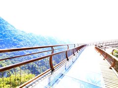 -少华山国家森林公园