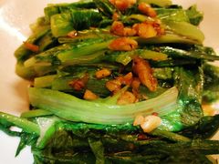 -锦粤宫·精致粤菜(深圳北站店)