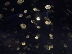 -SPACE(欢乐颂购物中心店)