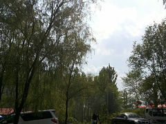 android_upload_pic-可心烤鱼