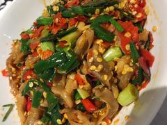 鸭掌筋-壹盏灯(惠农店)