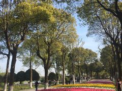-上海鲜花港