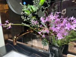 -花隐·美芙炫海菲秀皮肤管理中心