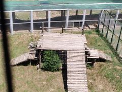 -青藏高原野生动物园