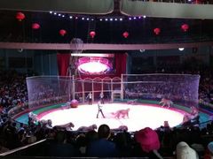 -西安秦岭野生动物园