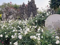 -人民公园(罗湖区)