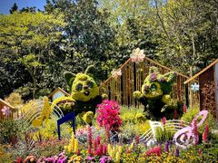 -上海共青森林公园