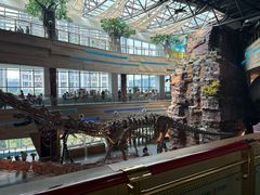 -安徽省地质博物馆