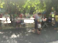 -晓港公园