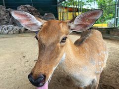 -八景休閒山莊  廣東十大名山莊