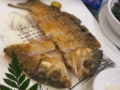 -金河半岛园林酒家(金融城店)