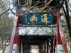 -晋祠公园