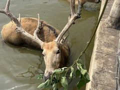 -宁波杭州湾国家湿地公园