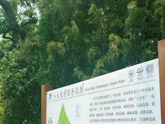 -八大关景区