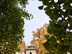 -北京石刻艺术博物馆(五塔寺)