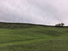 -新疆那拉提国家旅游度假区