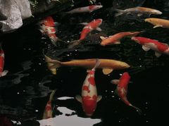 -金海华·华宴江南(斜塘店)