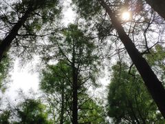-太湖湖滨国家湿地公园-停车场