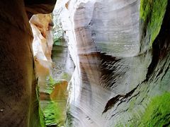 -贺莉嫂北二巷香菇芙蓉面(抗大商厦店)