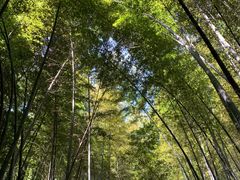 -敬亭山风景名胜区