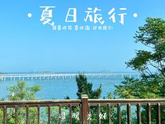 -星海湾跨海大桥