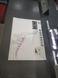 -恐龙探索乐园(磁器口店)