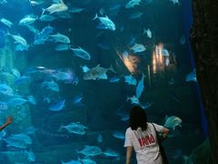 -成都浩海立方海洋公园