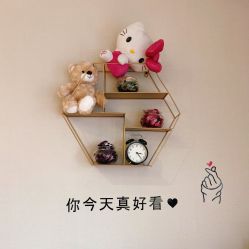 -菲秀家科技美颜SPA生活馆